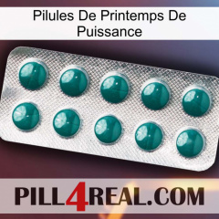 Power Spring Pills dapoxetine1